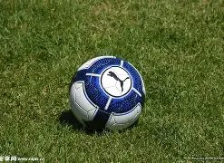 德国足坛惨,淡现状,杯赛负低级,万博体育,万博体育app,万博体育官网,万博体育下载,万博体育入口